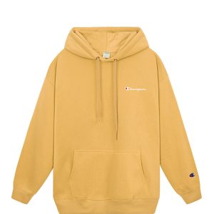 Champion Embroidered Logo Hoodie In Brown