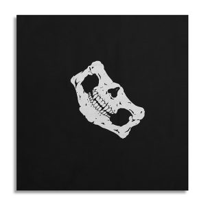 Skull Bandana In Black 4